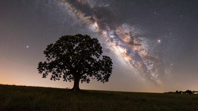 Voie lactee arbre
