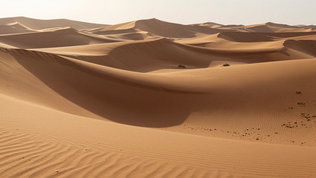 Dunes aube ombres