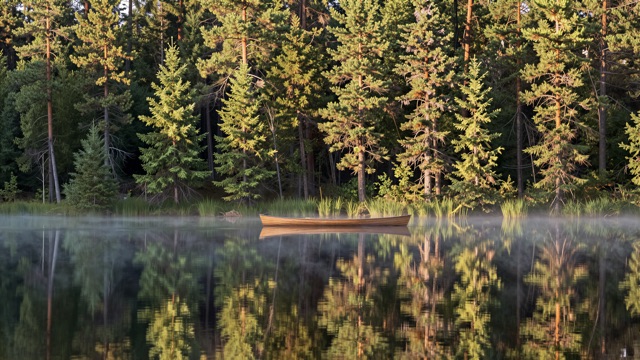 Lac forêt reflet