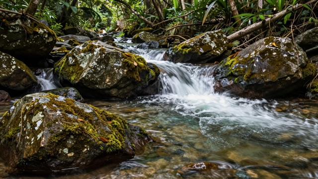 Rivière forêt cascade